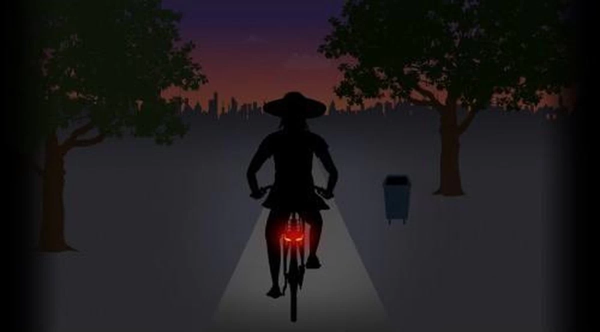 Spanninga Lineo Fiets Achterlicht - Batterij - Afbeelding 19