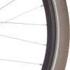 Cortina Buitenband Canberra 28 X 1.75 (47-622) Titanium Reflectie